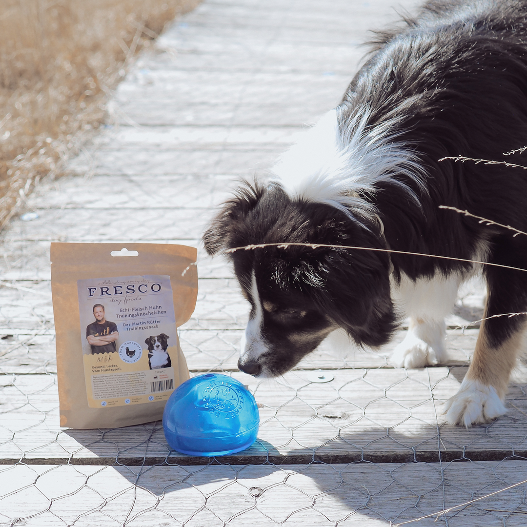 Anton's neues Lieblingsspielzeug: der SNOOP Futterball