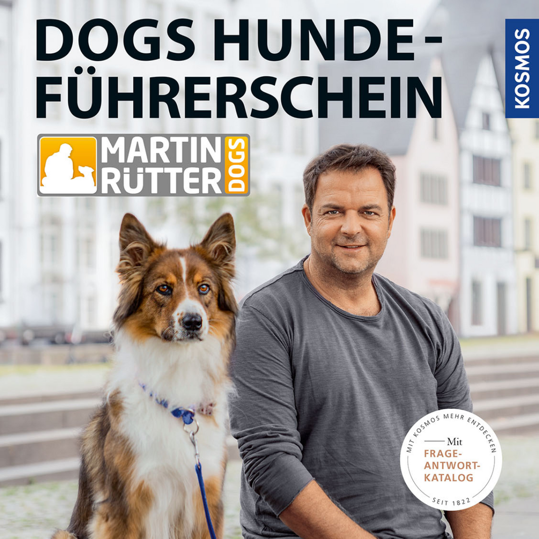 Warum ist ein Hundeführerschein sinnvoll?
