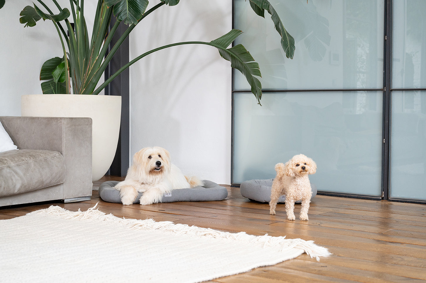 HUNDEBETTEN