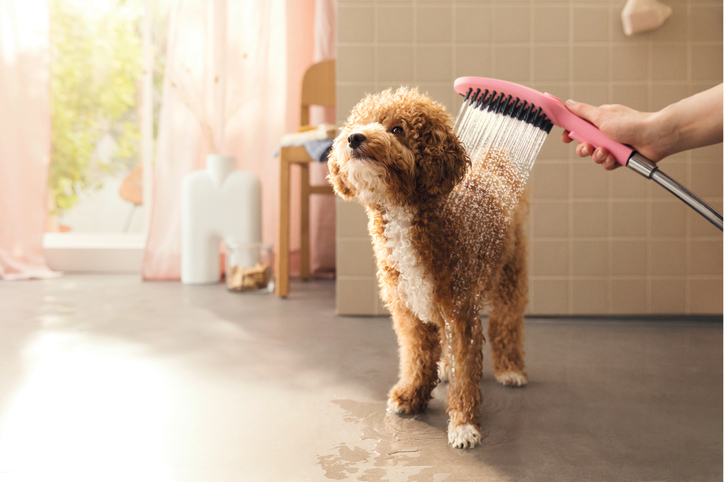 HYGIENE