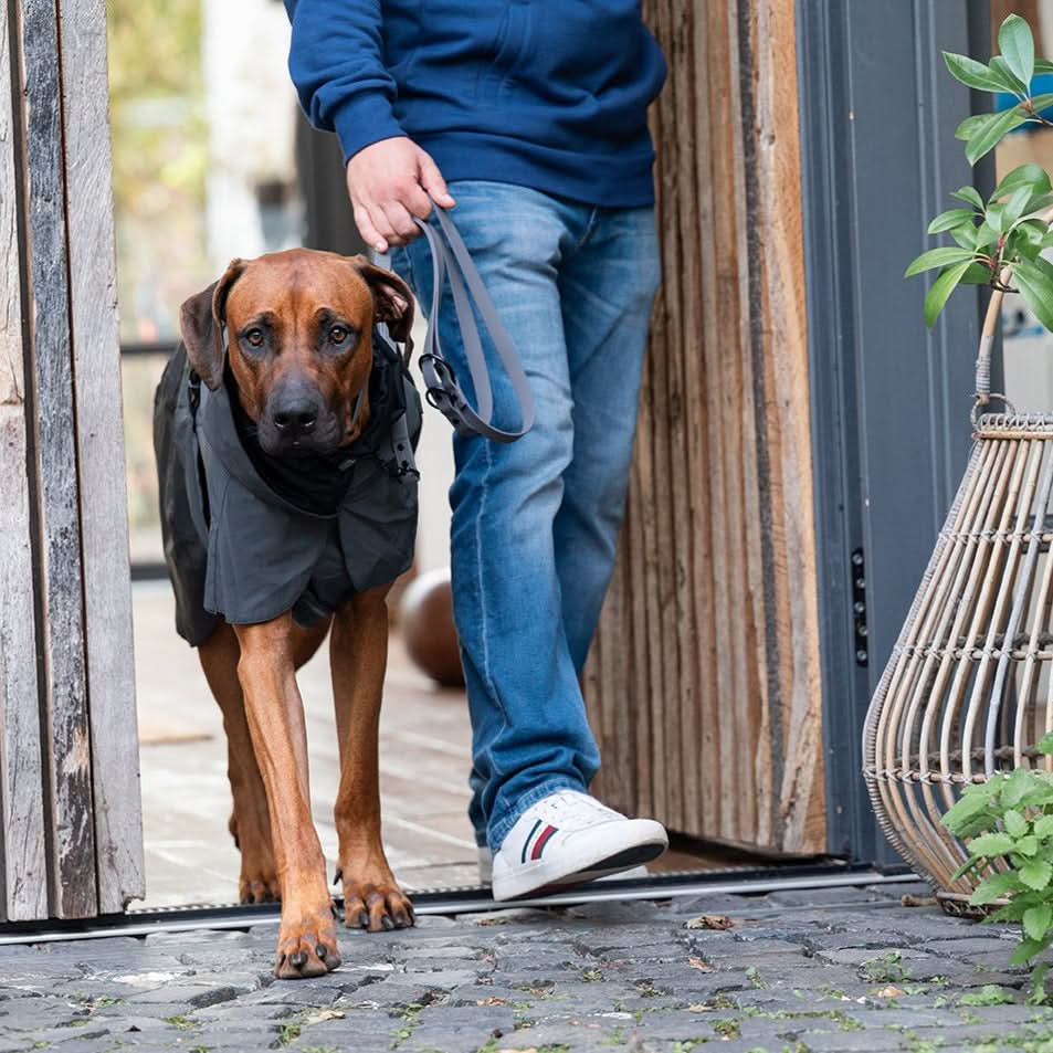 Regenmantel vollreflektierend Anthrazit - Bild 2 (Martin Rütter Shop)