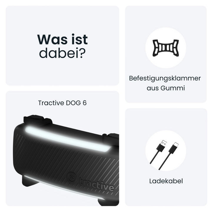 GPS Tracker Tractive Dog 6 - Bild 7 (Martin Rütter Shop)