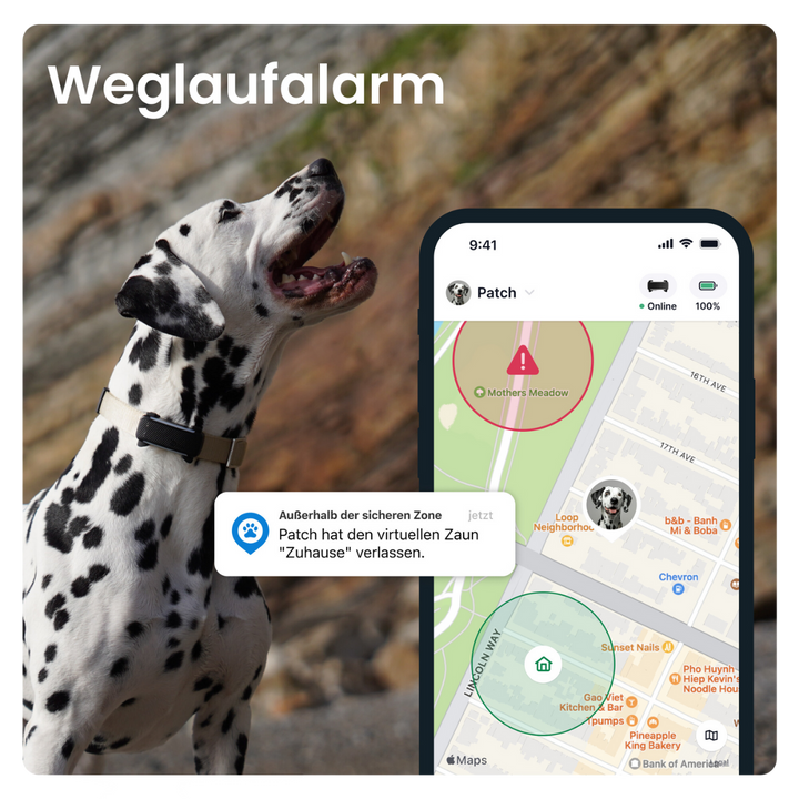 GPS Tracker Tractive Dog 6 - Bild 9 (Martin Rütter Shop)