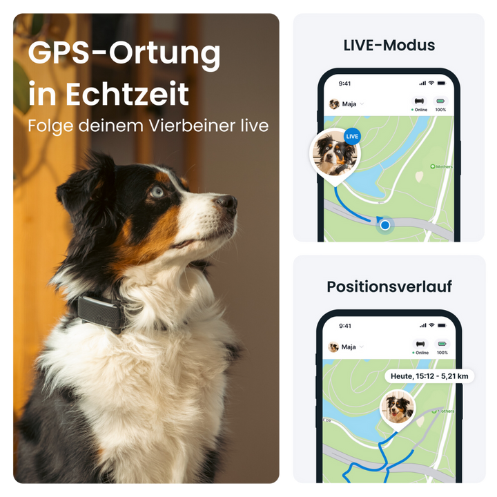 GPS Tracker Tractive Dog 6 - Bild 10 (Martin Rütter Shop)