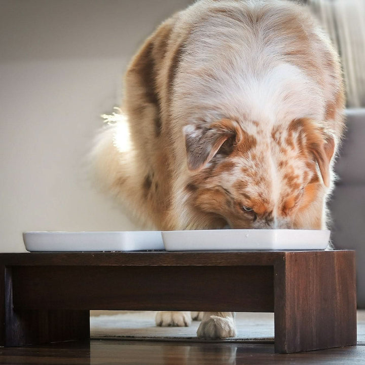 Doppelnapf Futterstation - Bild 2 (Martin Rütter Shop)