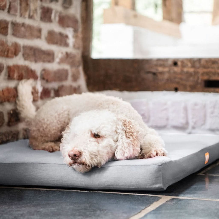 Hundematratze orthopädisch mit Fleece - Bild 5 (Martin Rütter Shop)