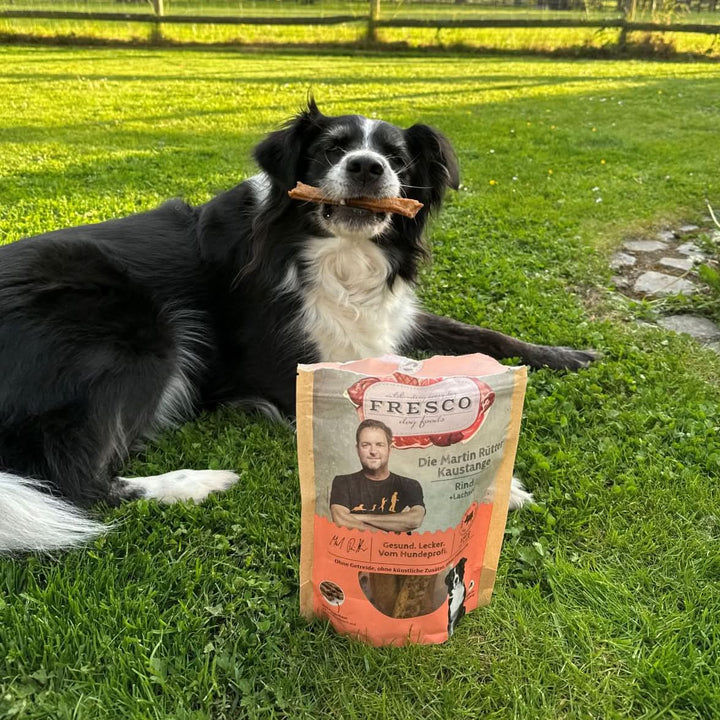 Kaustange Rind mit Wildlachsöl - Bild 2 (Martin Rütter Shop)