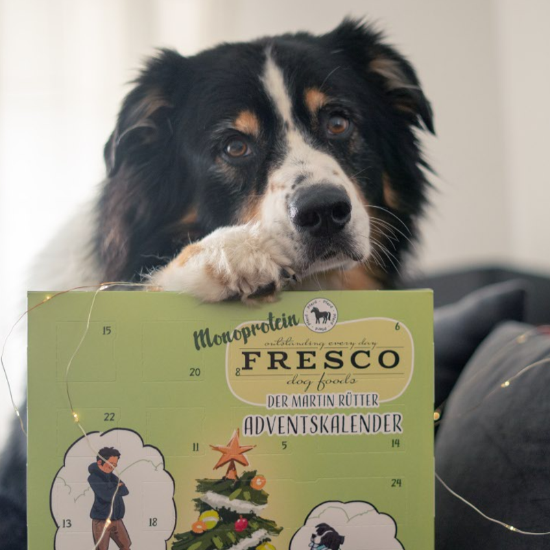 Adventskalender für Hunde - Sorte "Pferd" - Bild 2 (Martin Rütter Shop)