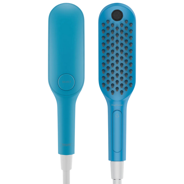 Hunde-Duschkopf hansgrohe in der Variante Petrol (Martin Rütter Shop)