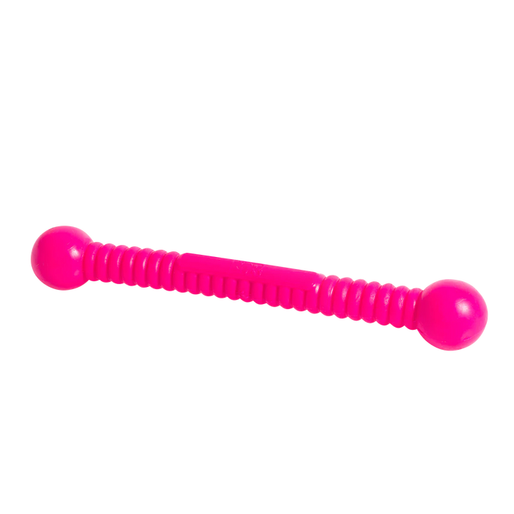 Stöckchenersatz Funstix in der Variante Neonpink / L (Martin Rütter Shop)