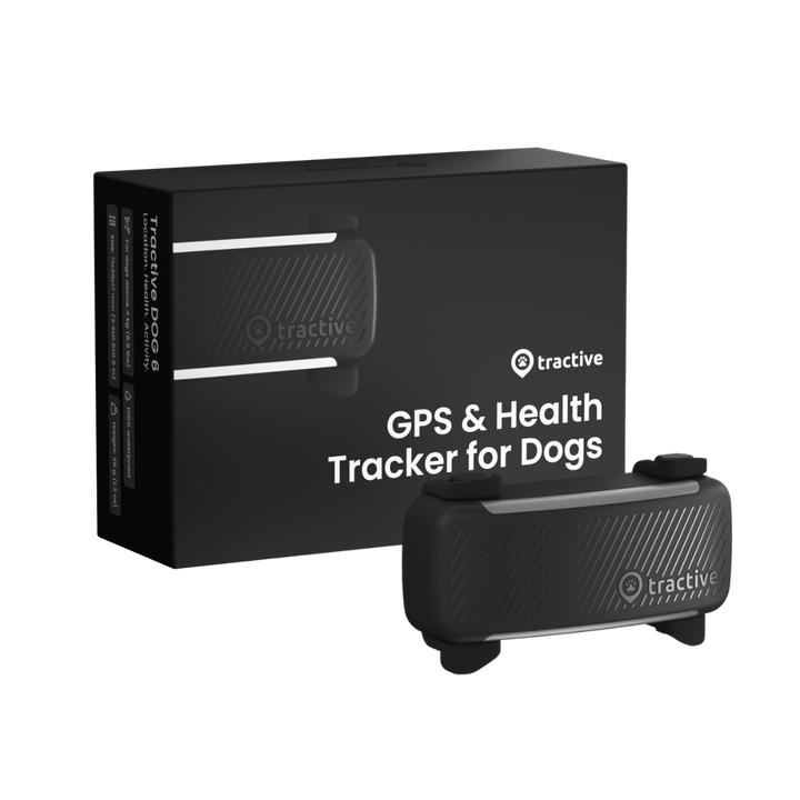 GPS Tracker Tractive Dog 6 in der Variante Schwarz (Martin Rütter Shop)