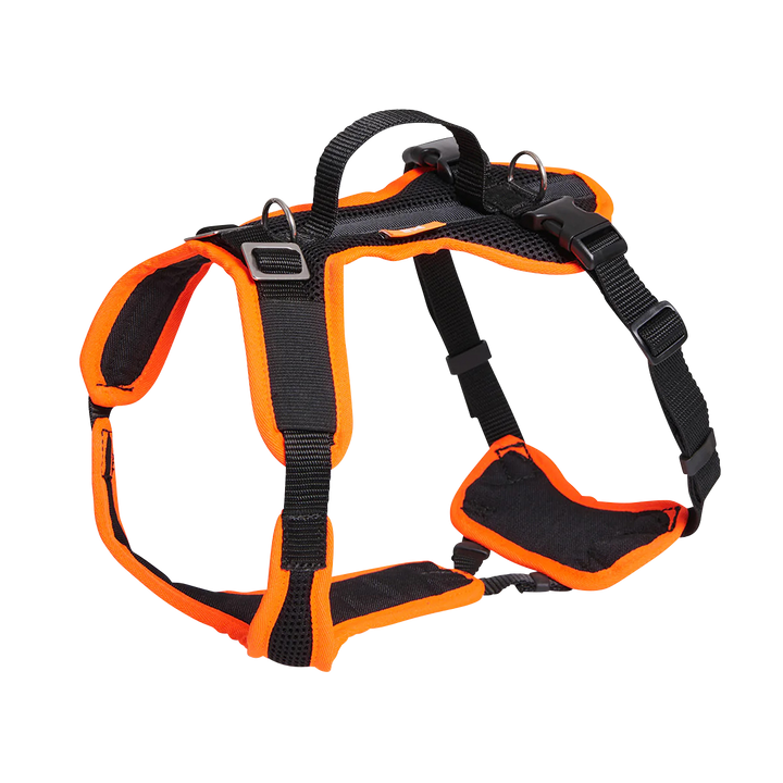 Hundegeschirr Vary in der Variante Orange / S-L (Martin Rütter Shop)