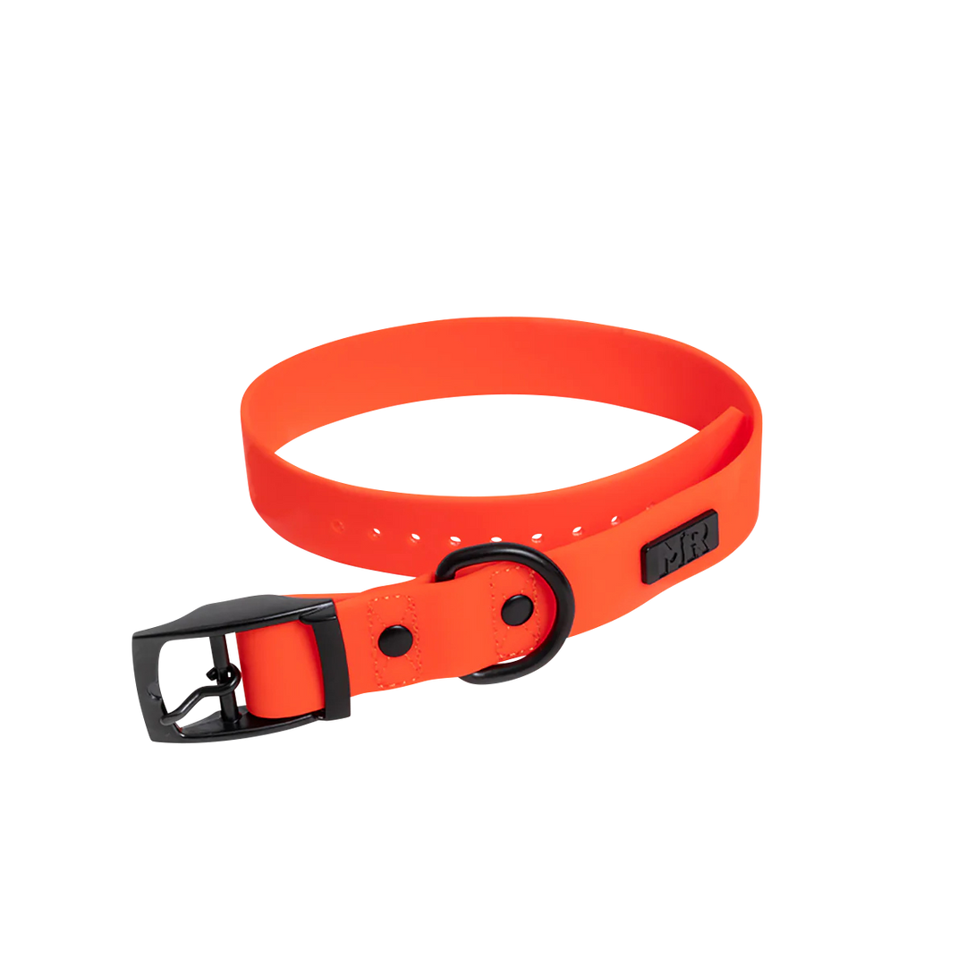 Kombi-Set SoftVinyl Halsband und Führleine Neonorange - Bild 2 (Martin Rütter Shop)