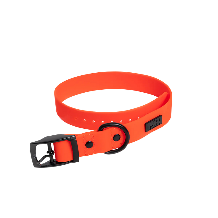 Kombi-Set SoftVinyl Halsband und Führleine Neonorange - Bild 2 (Martin Rütter Shop)