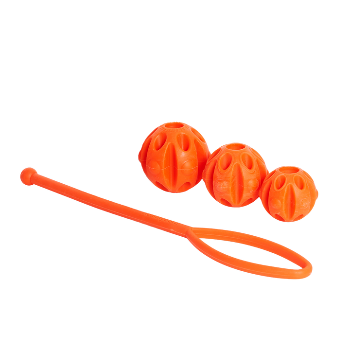 Hundeball HEALTHY mit Wurfgriff - Bild 5 (Martin Rütter Shop)