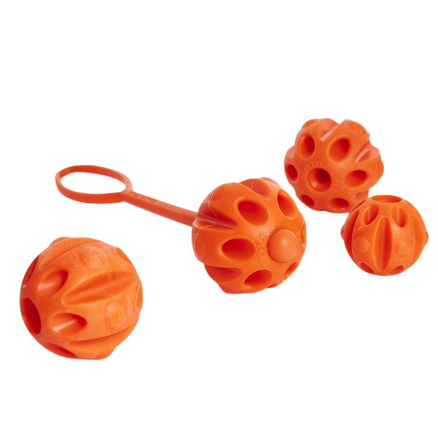 Hundeball HEALTHY mit Wurfgriff - Bild 3 (Martin Rütter Shop)