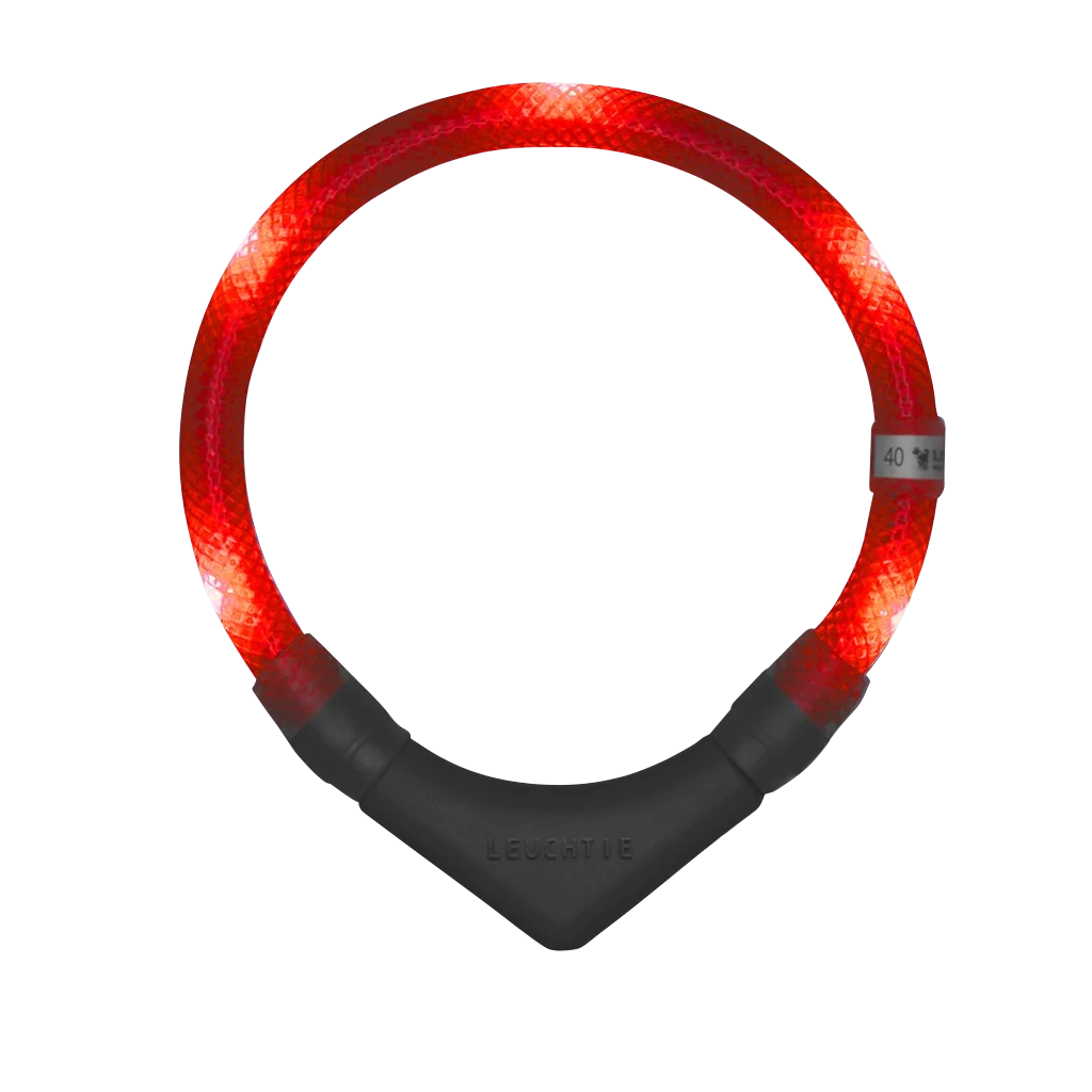 Hundehalsband Leuchtie® Plus Rot in der Variante Rot / 50 cm (Martin Rütter Shop)
