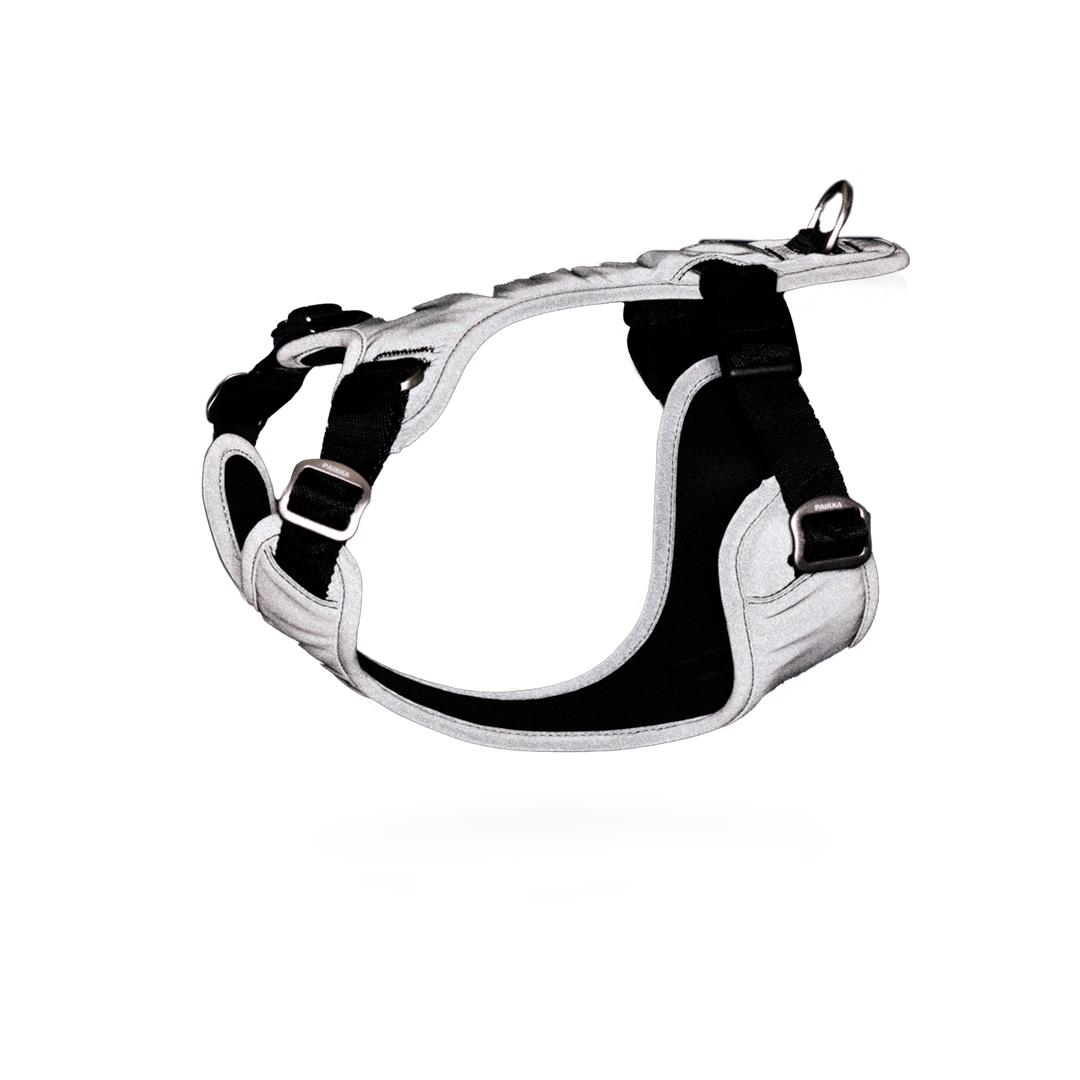 PAIKKA Visibility Harness Hundegeschirr beleuchtet und freigestellt
