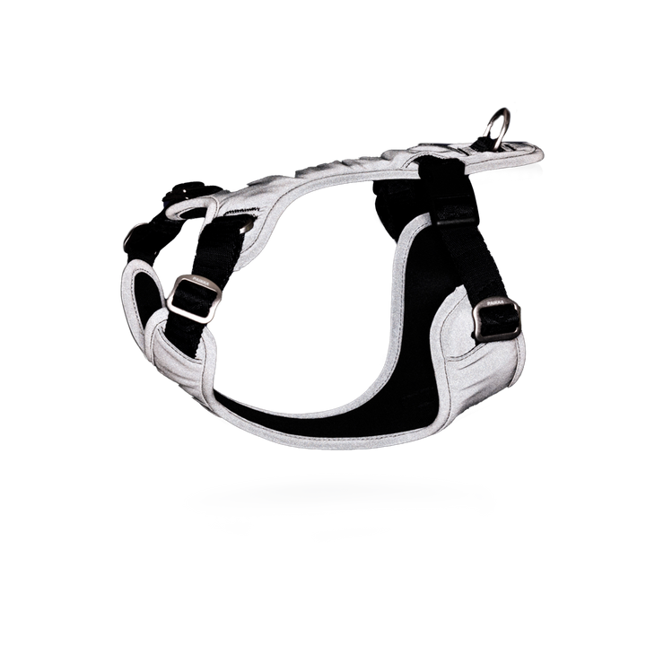 PAIKKA Visibility Harness Hundegeschirr beleuchtet und freigestellt