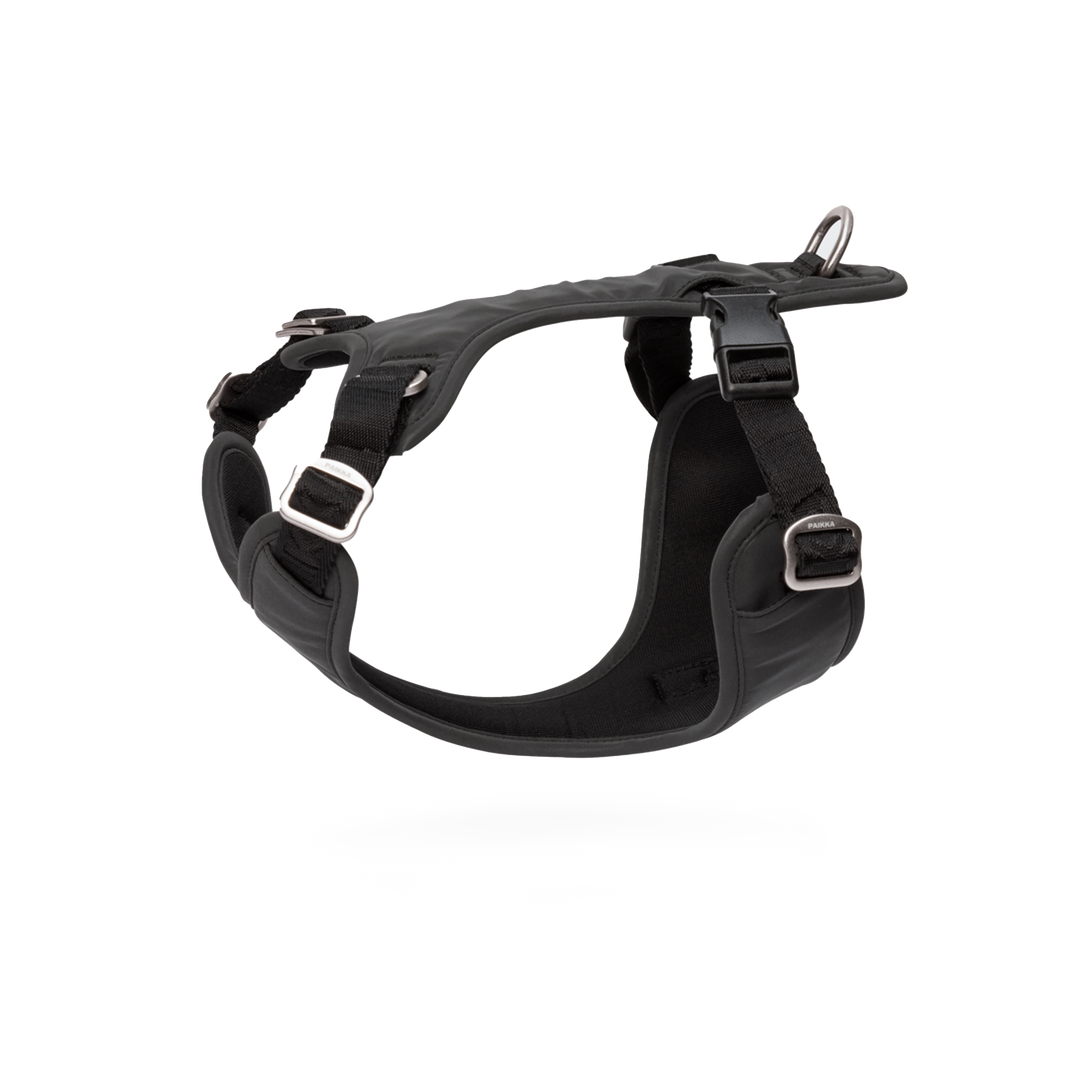 Paikka Visibility Harness vollreflektierendes Hundegeschirr unbeleuchtet und freigestellt