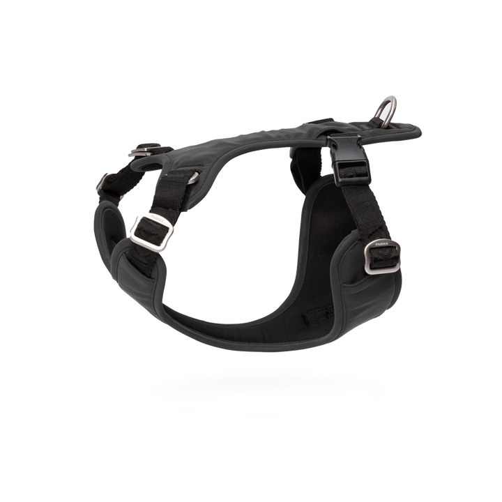 Paikka Visibility Harness vollreflektierendes Hundegeschirr unbeleuchtet und freigestellt