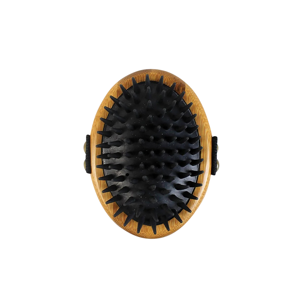 Fellstriegel für alle Fellarten - Bild 2 (Martin Rütter Shop)