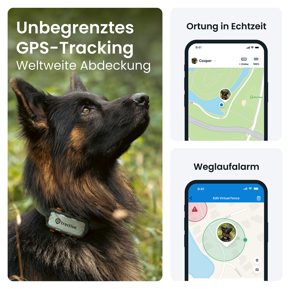 GPS Tracker Tractive Dog XL Adventure - Bild 2 (Martin Rütter Shop)