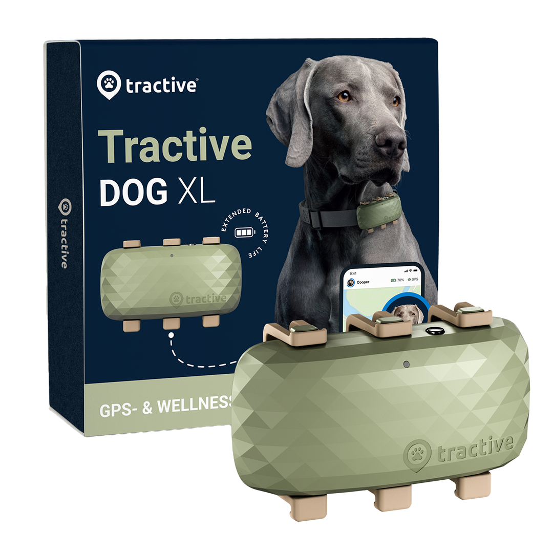 GPS Tracker Tractive Dog XL in der Variante Metallic-Grün (Martin Rütter Shop)