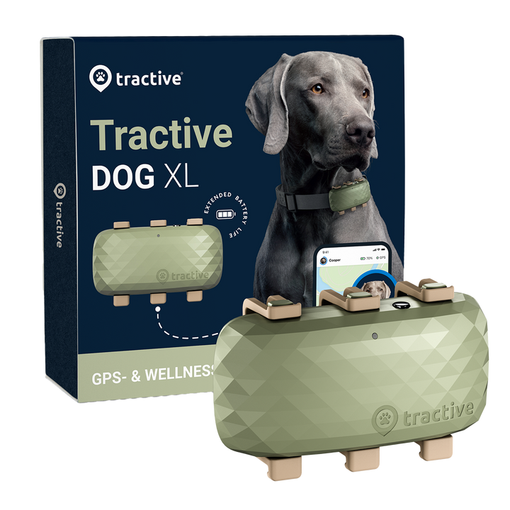 GPS Tracker Tractive Dog XL in der Variante Metallic-Grün (Martin Rütter Shop)