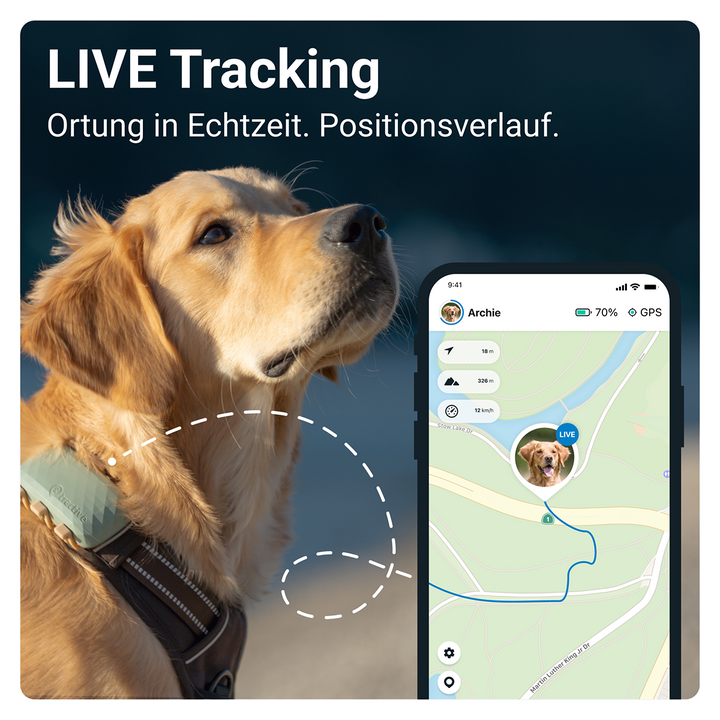 GPS Tracker Tractive Dog XL - Bild 3 (Martin Rütter Shop)
