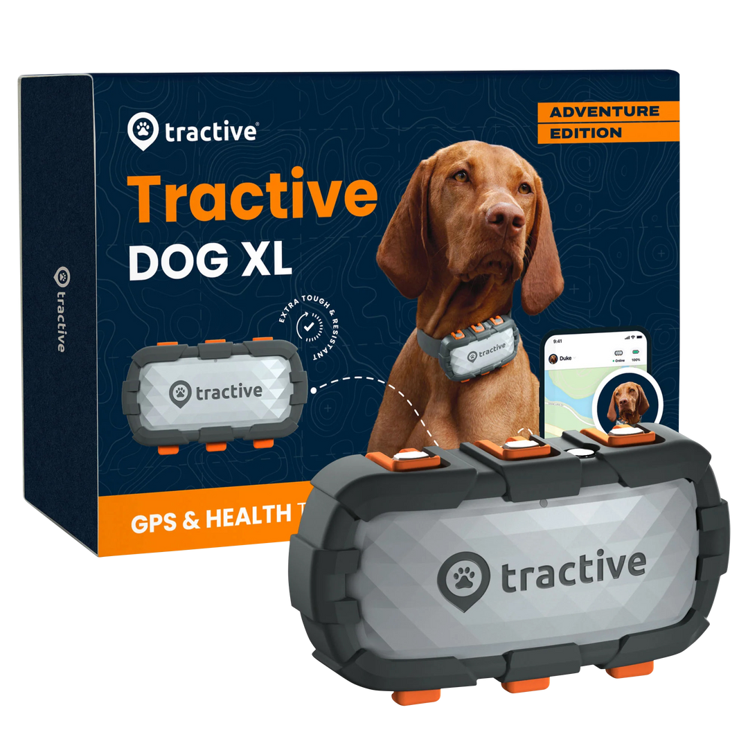 GPS Tracker Tractive Dog XL Adventure in der Variante Metallic-Grau (Martin Rütter Shop)