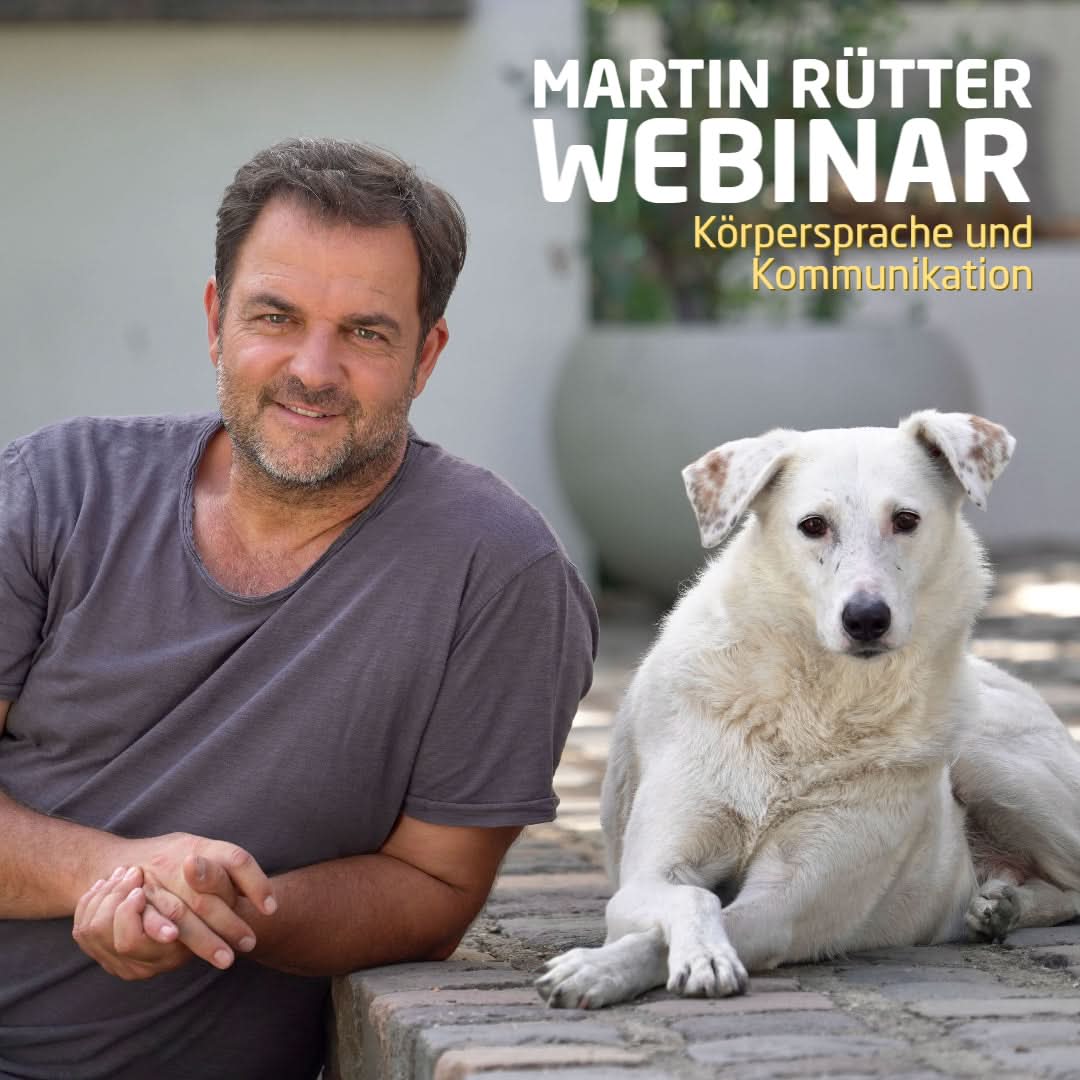 Webinar "Facetten der Hundesprache" Martin Rtter SHOP Webinar "Facetten der Hundesprache" Martin Rtter SHOP