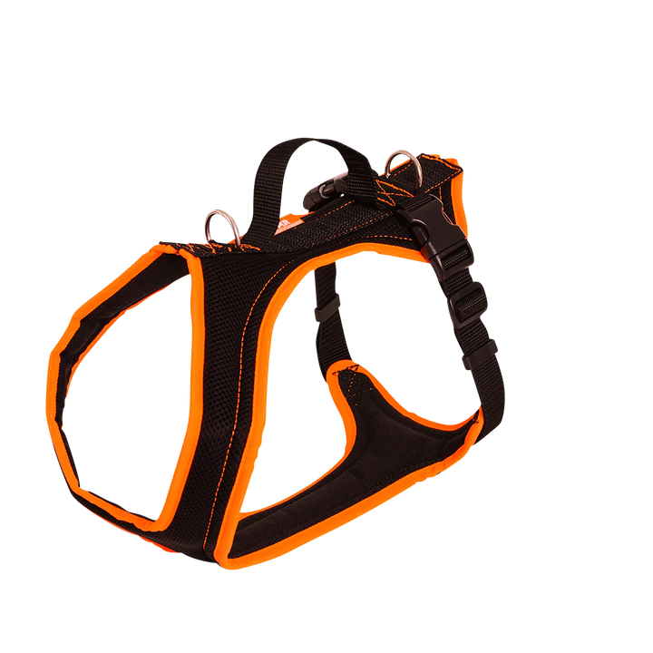 Hundegeschirr Standard in der Variante Orange / L (Martin Rütter Shop)