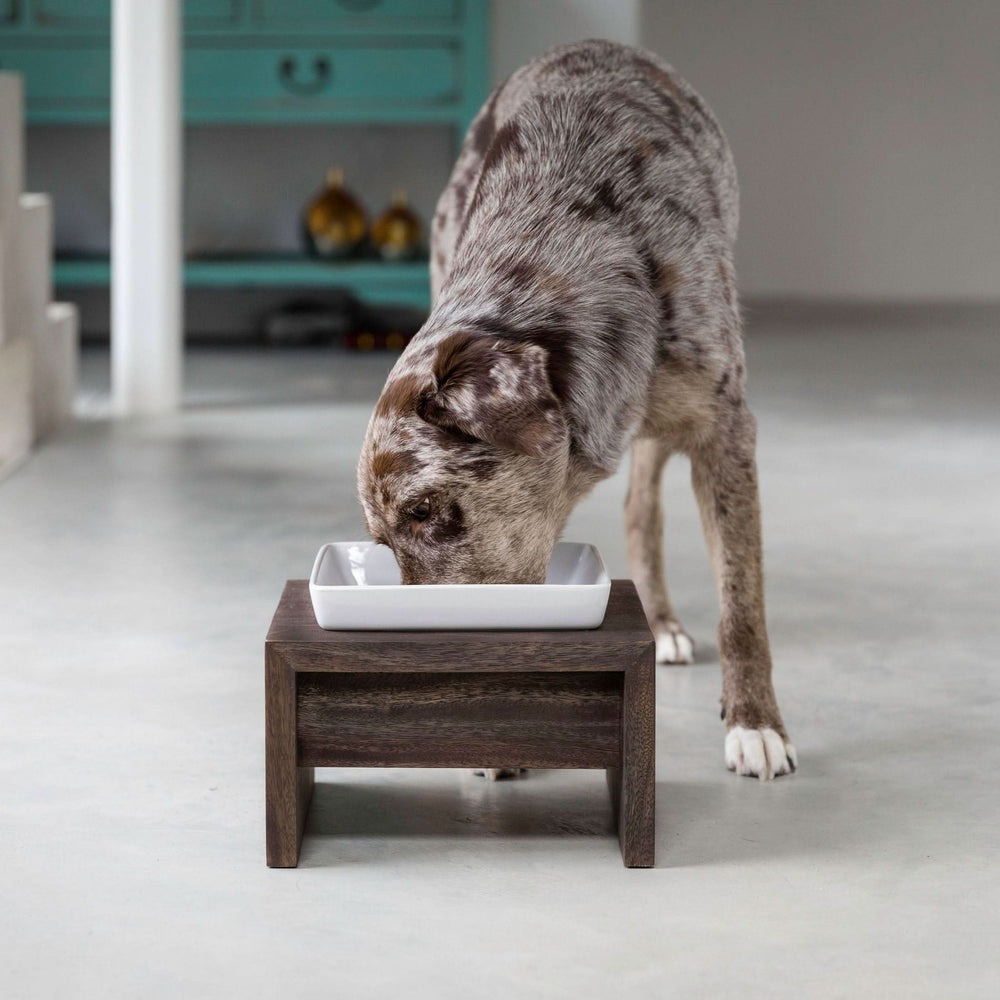 Einzelnapf Futterstation - Bild 2 (Martin Rütter Shop)