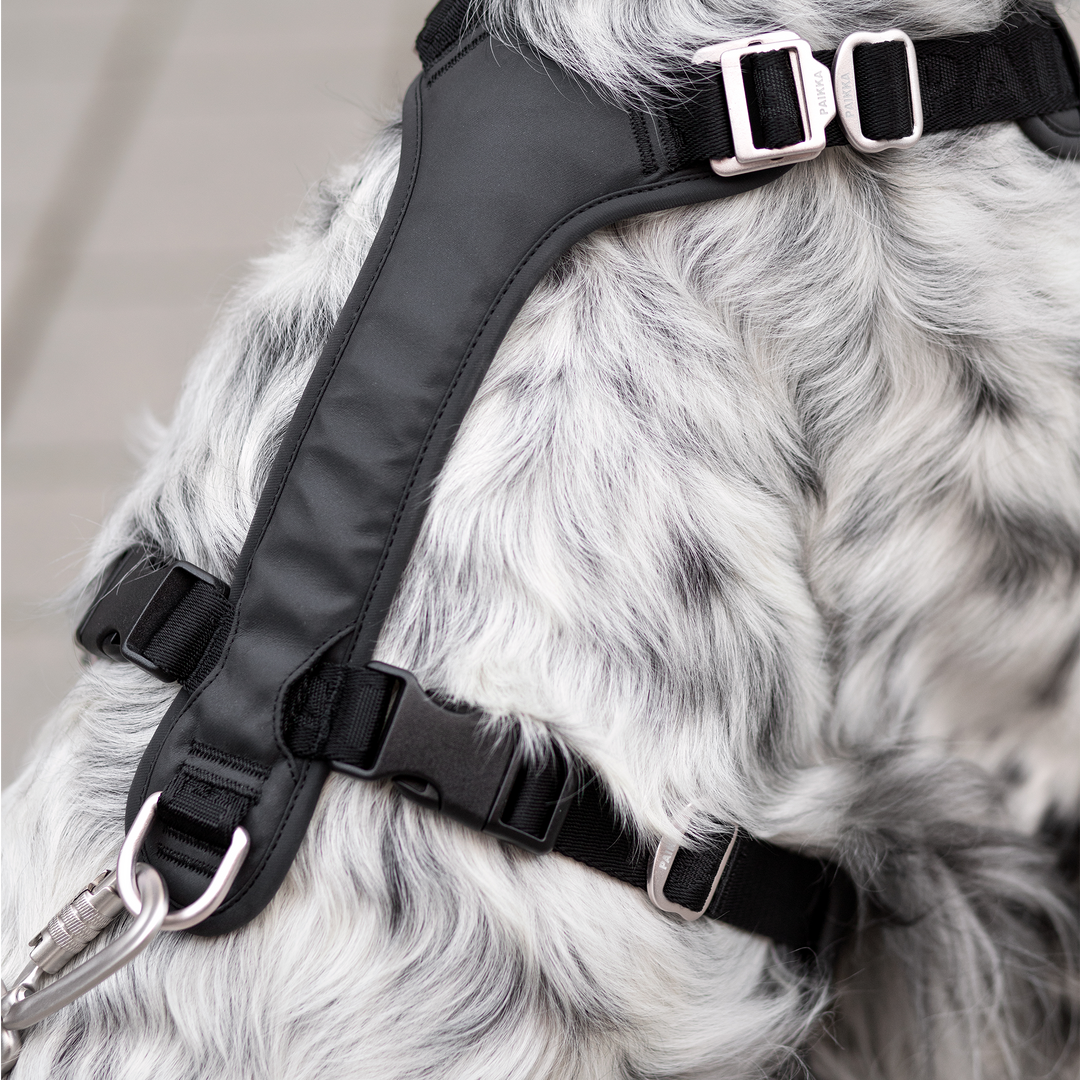 Hundegeschirr reflektierend Anthrazit - Bild 4 (Martin Rütter Shop)