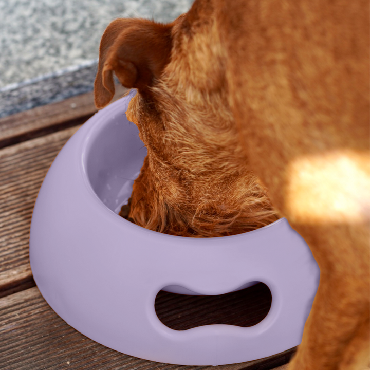 Futternapf Kunststoff PAPPY - Bild 10 (Martin Rütter Shop)