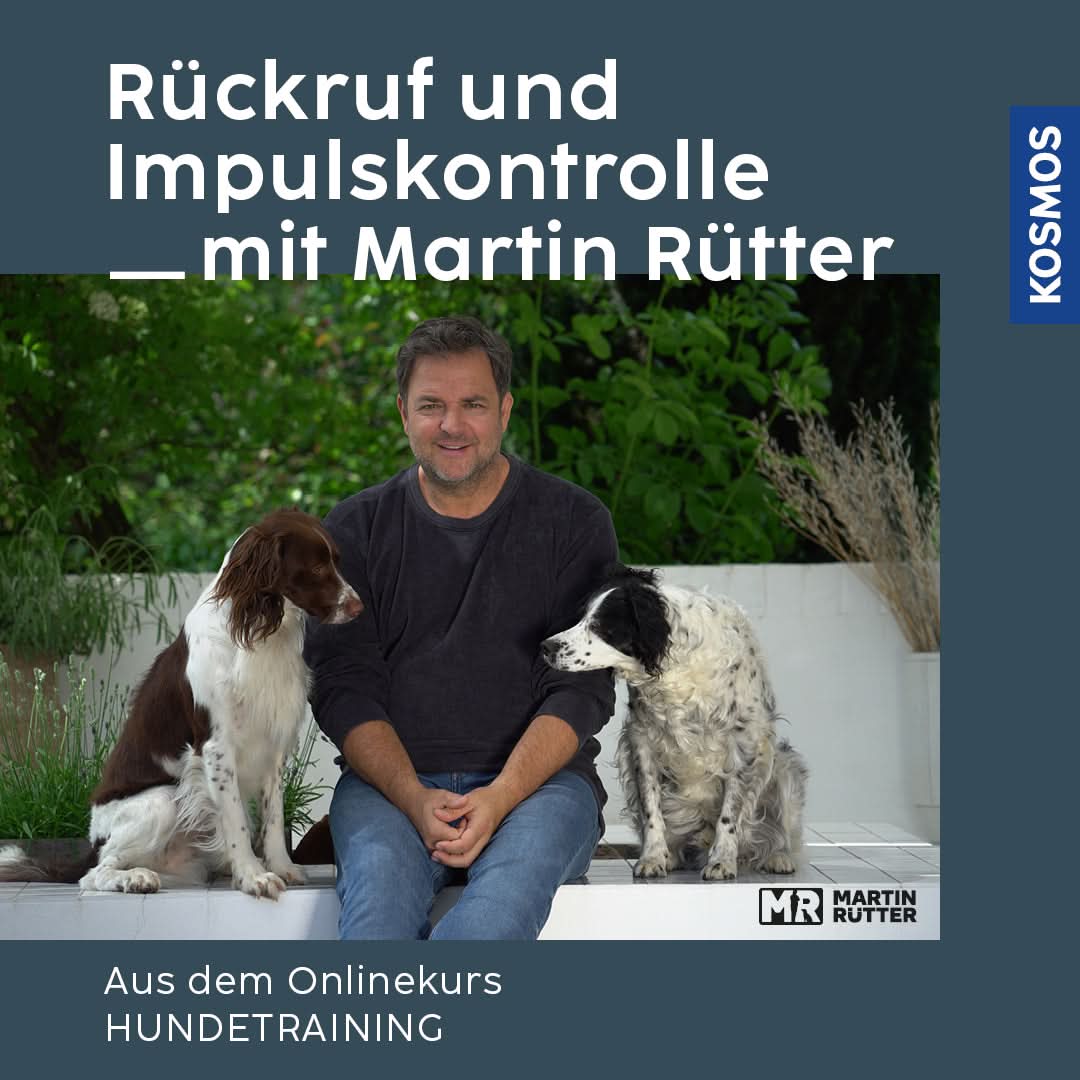Onlinekurs "Rückruf und Impulskontrolle" mit Martin Rütter - Bild 1 (Martin Rütter Shop)