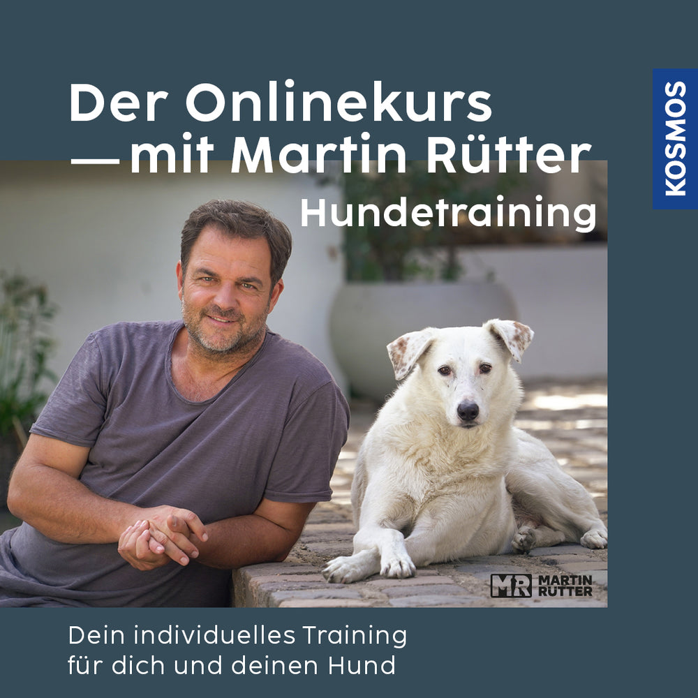 Onlinekurs - HUNDETRAINING mit Martin Rütter