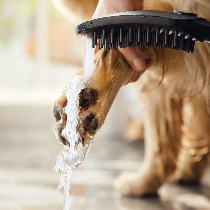 Hunde-Duschkopf hansgrohe - Bild 7 (Martin Rütter Shop)