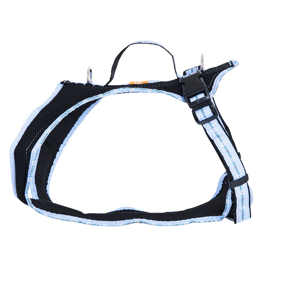 Hundegeschirr Standard Limited Edition