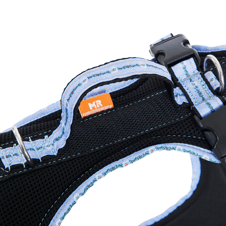 Hundegeschirr Standard Limited Edition