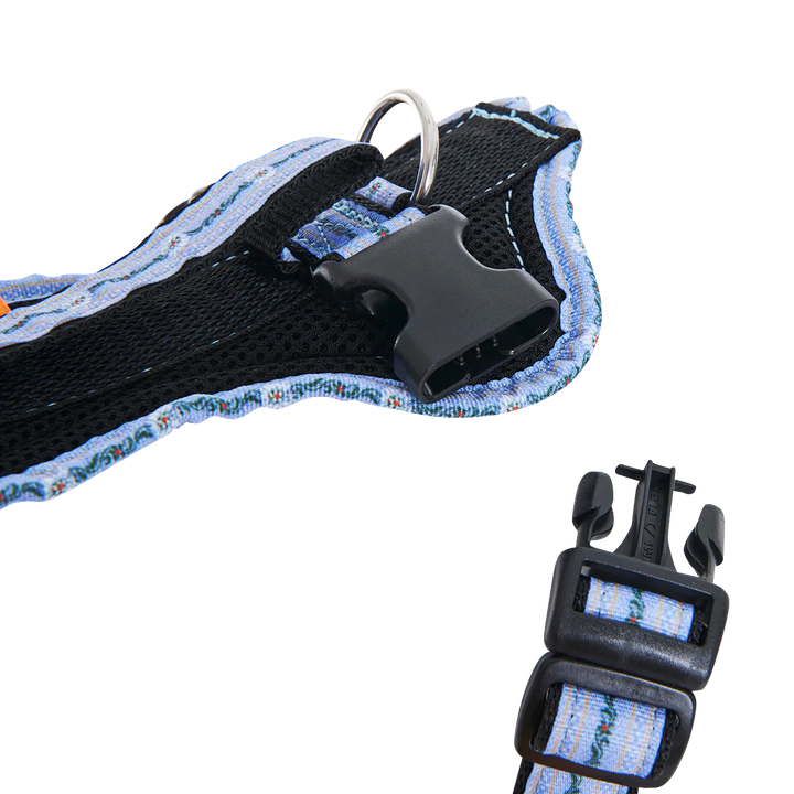 Hundegeschirr Standard Limited Edition