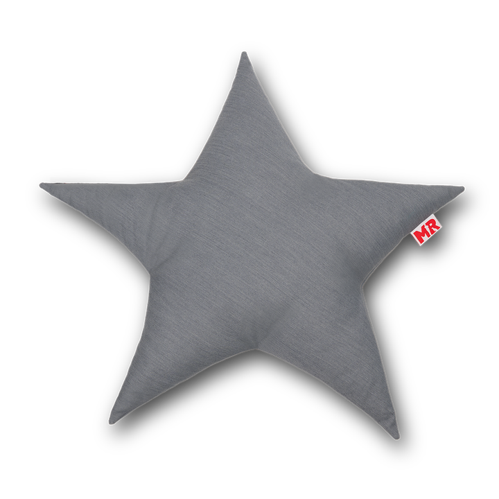 Hundespielzeug Stern