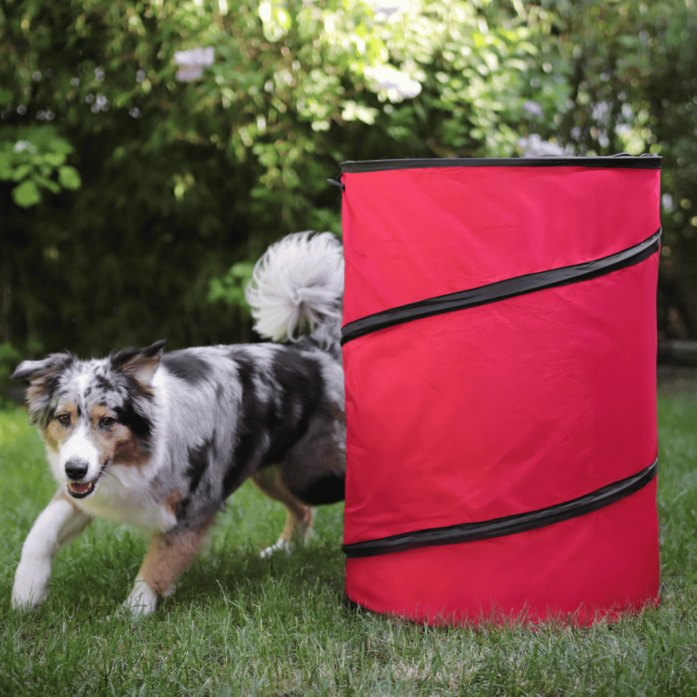 Hoopers Agility Tonne mit Tragetasche - Bild 2 (Martin Rütter Shop)