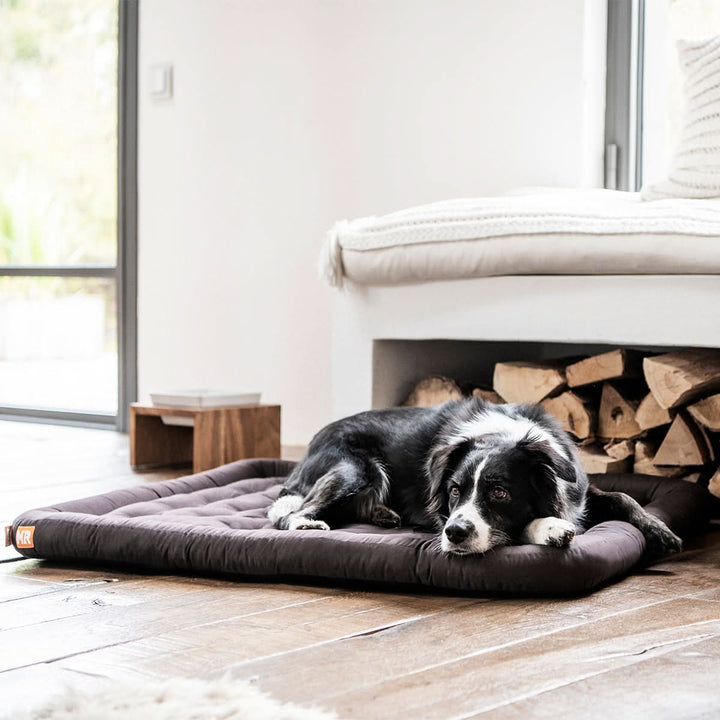 Hundekissen orthopädisch - Bild 6 (Martin Rütter Shop)