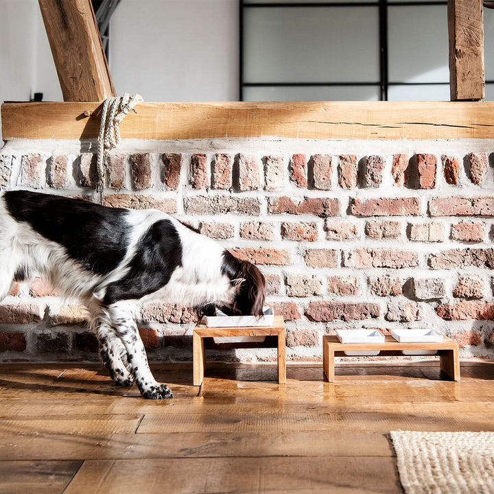 Doppelnapf Futterstation - Bild 4 (Martin Rütter Shop)