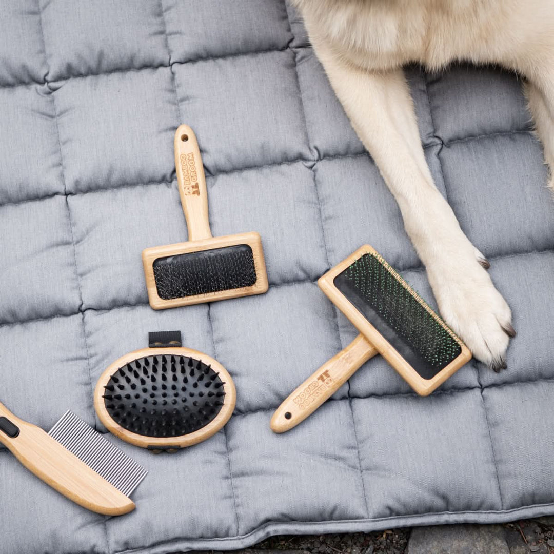 Softbürste für alle Fellarten - Bild 3 (Martin Rütter Shop)