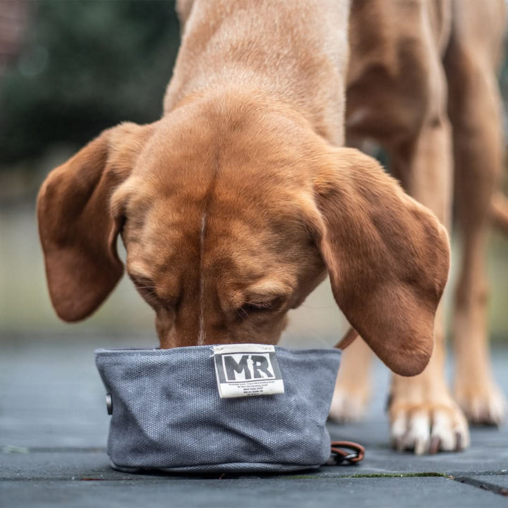 Reisenapf faltbar mit Karabiner - Bild 4 (Martin Rütter Shop)