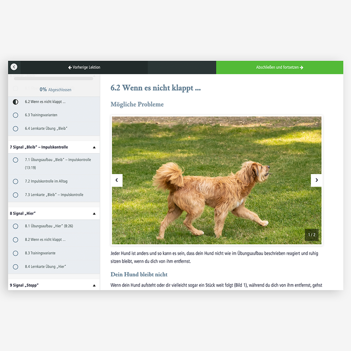 Onlinekurs "Hundetraining" mit Martin Rütter - Bild 5 (Martin Rütter Shop)