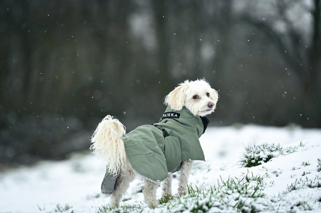 WINTERMÄNTEL